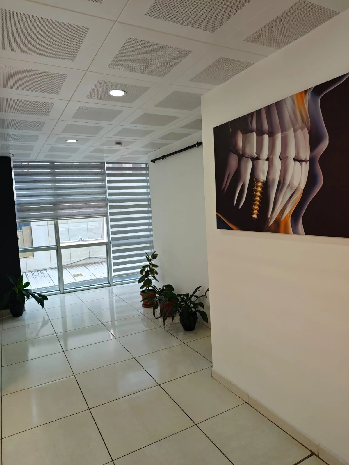 Dent Mavi koridorunda diş anatomisi teması